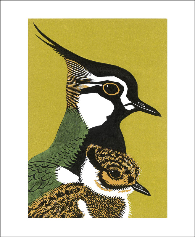 Peewit & Son Blank Card