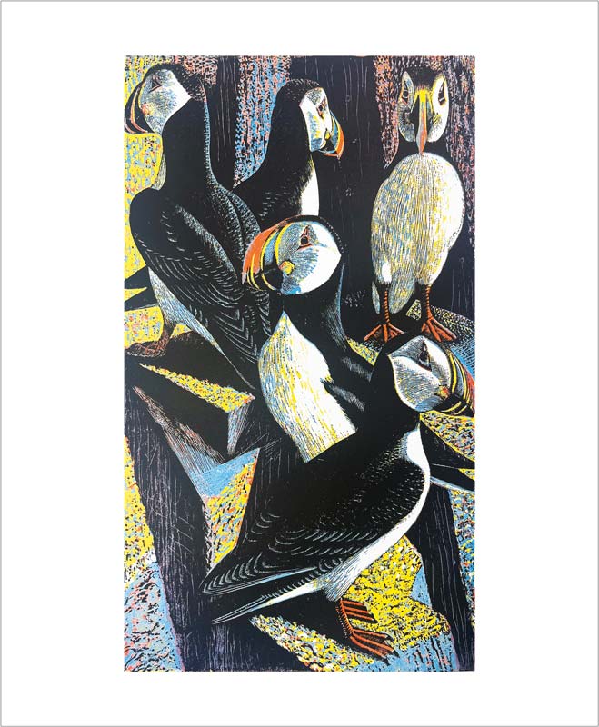 Puffins Blank Card