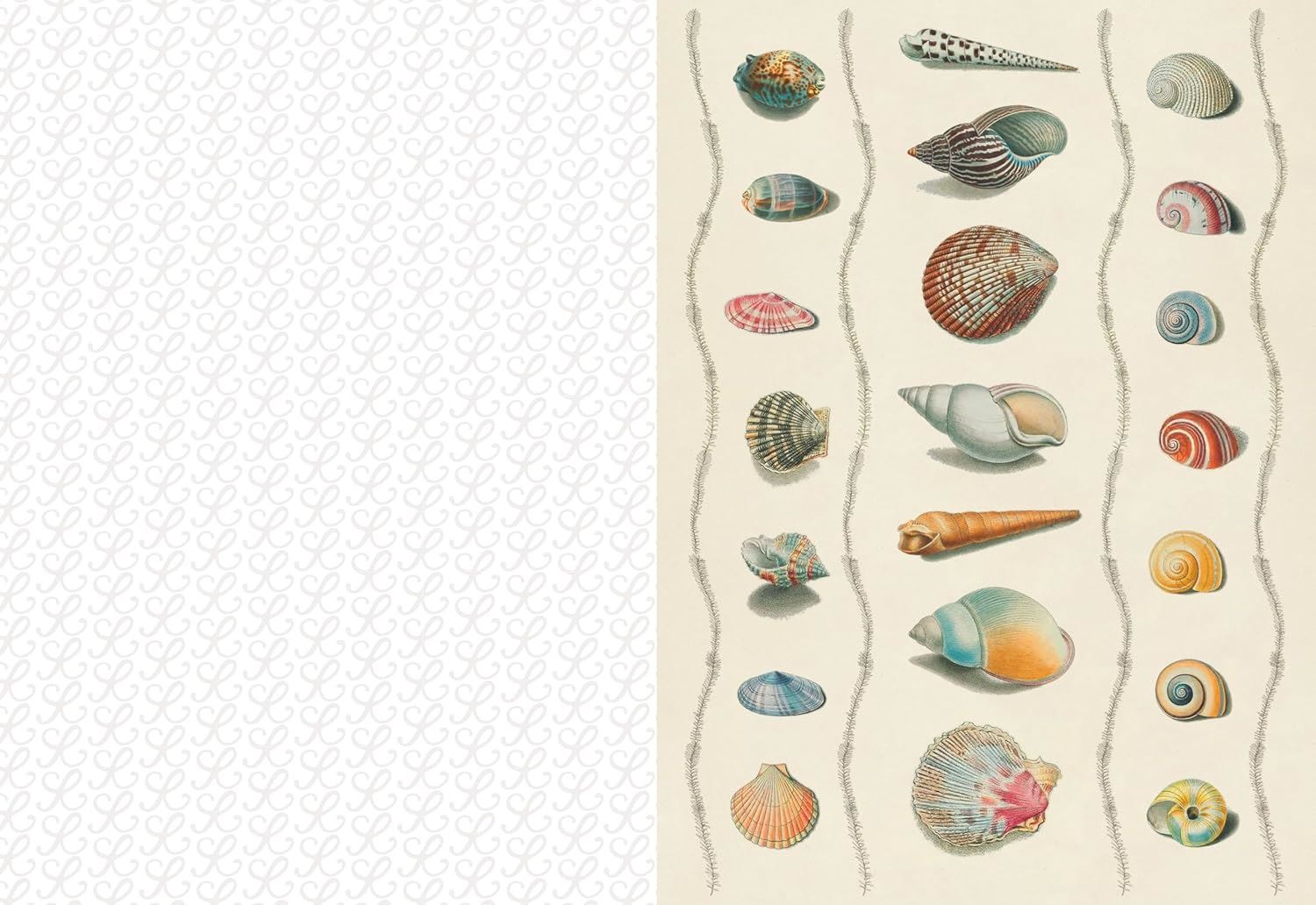 The Collage Compendium