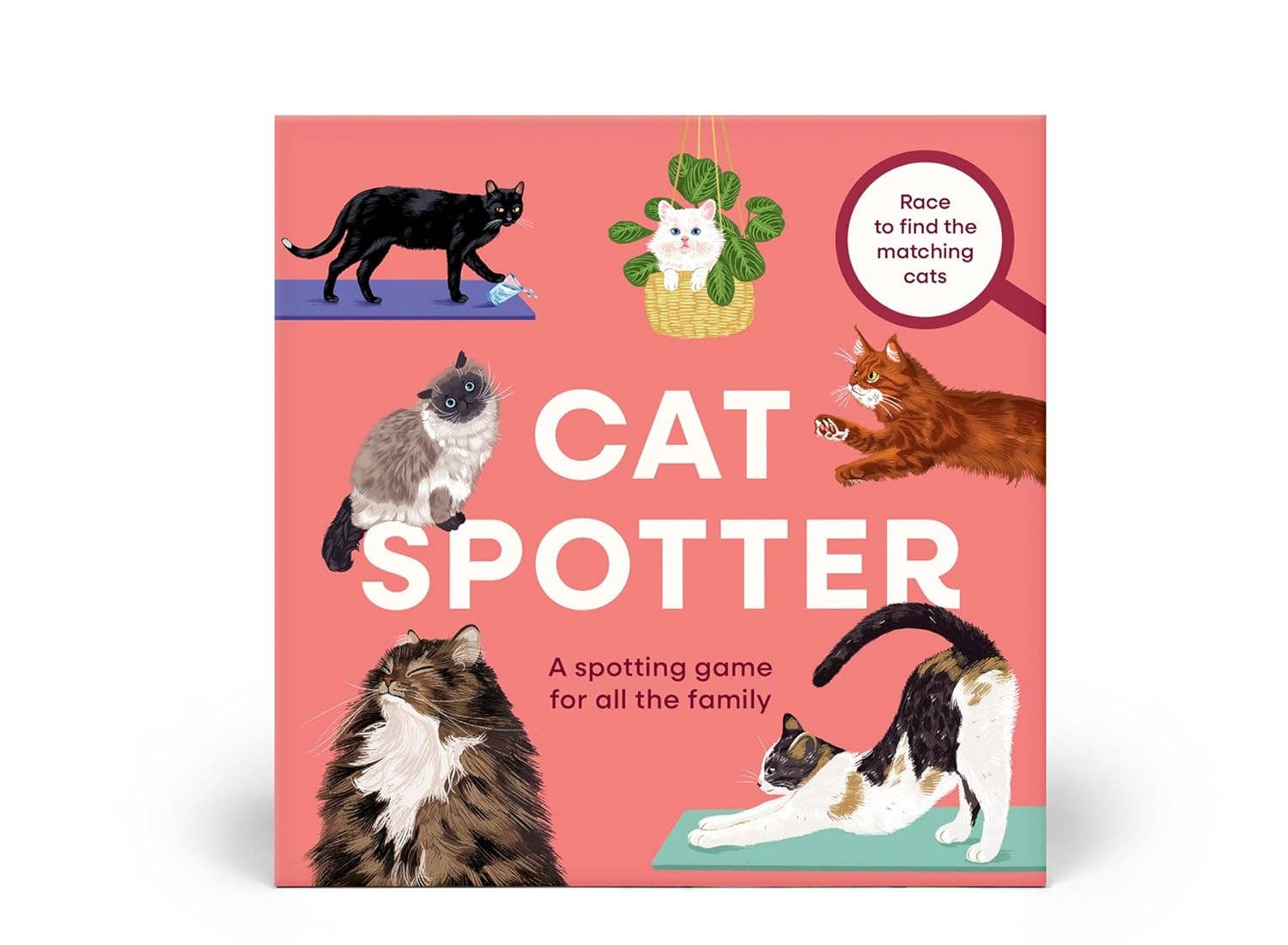 Cat Spotter