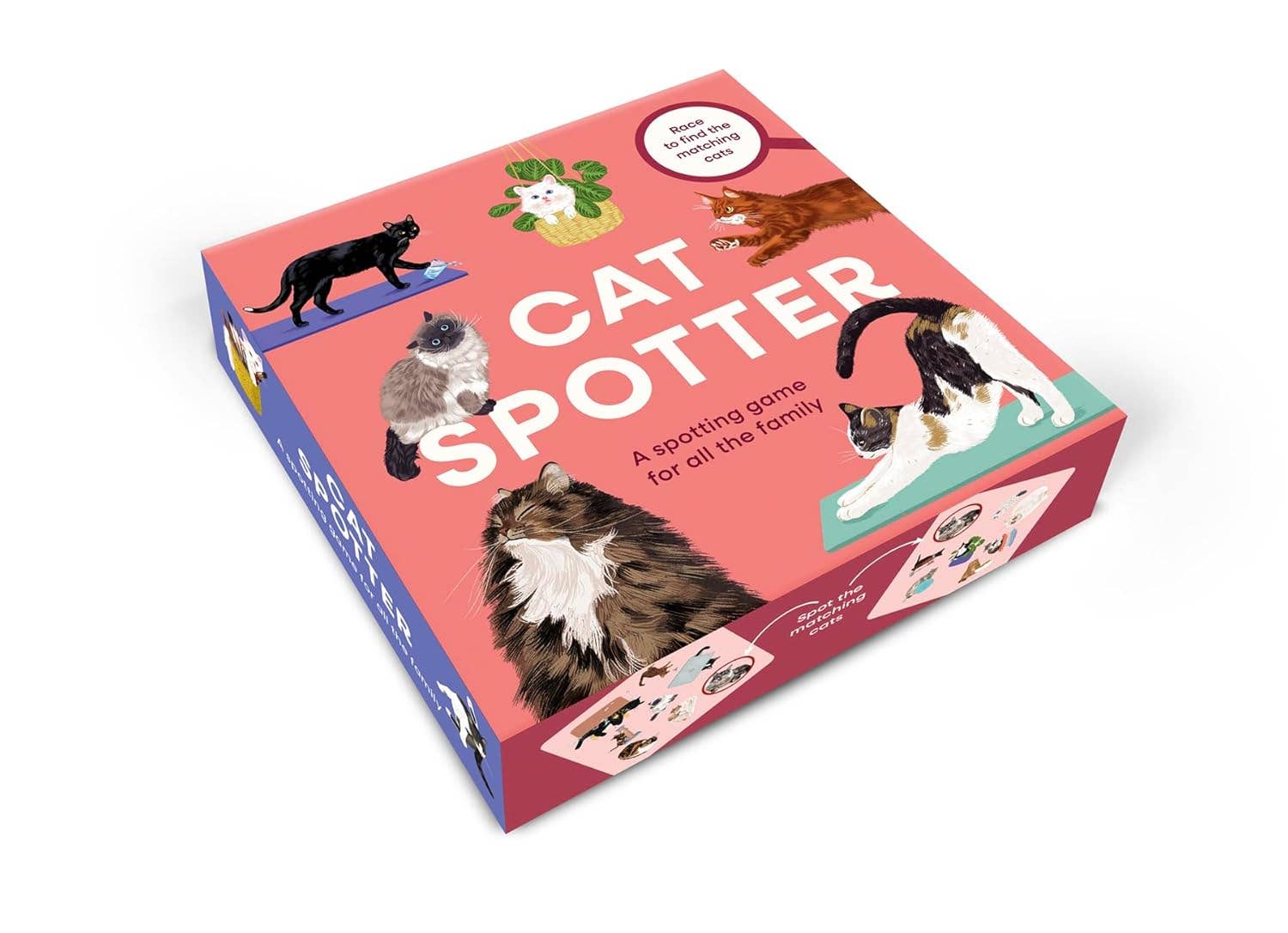 Cat Spotter