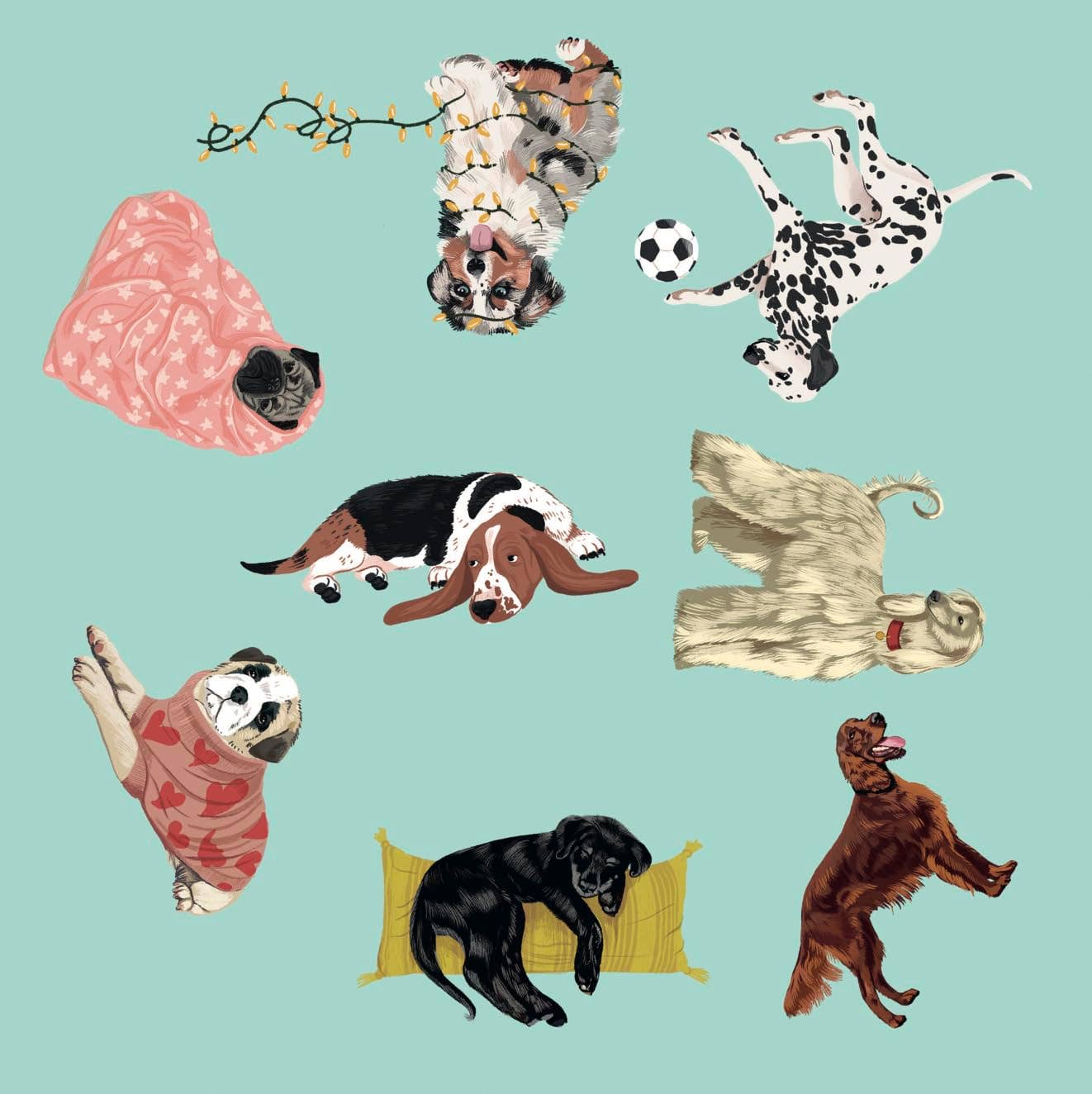 Dog Spotter