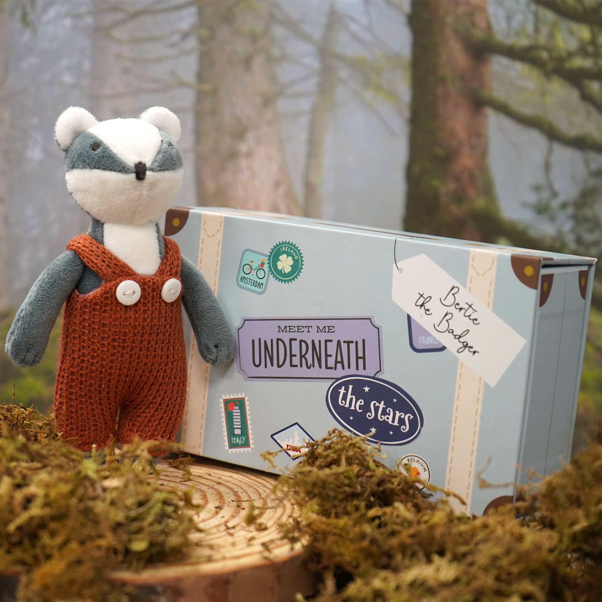 Wild Wanderers 'Bertie The Badger' Matchbox Toy