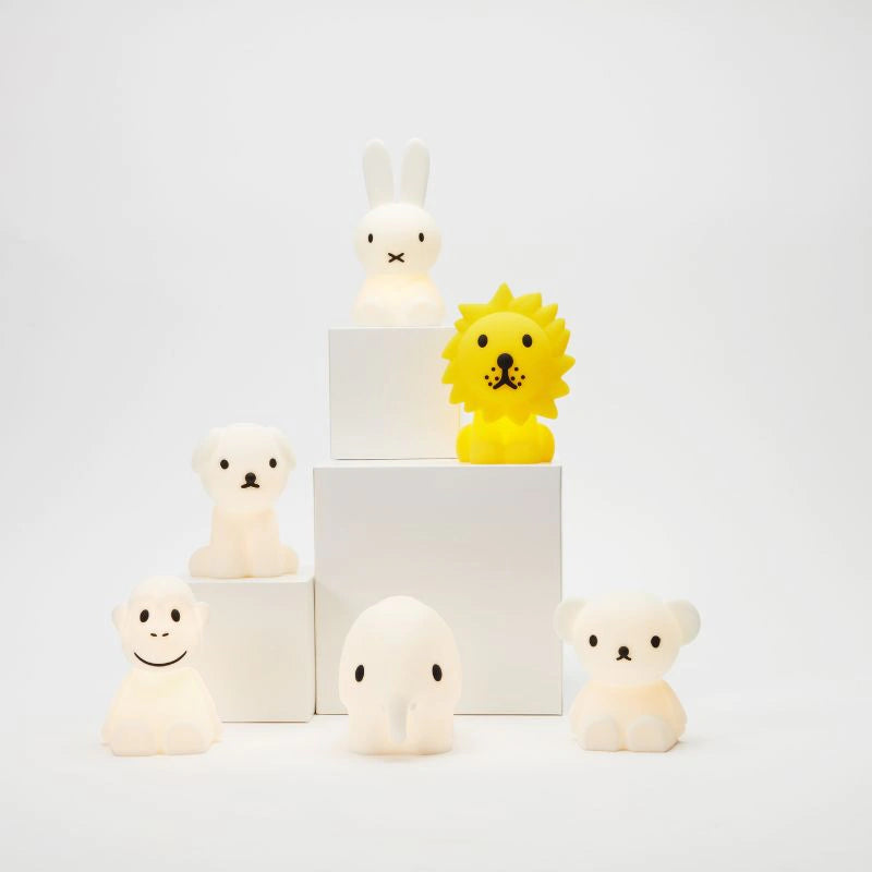 Lion Bundle Of Light