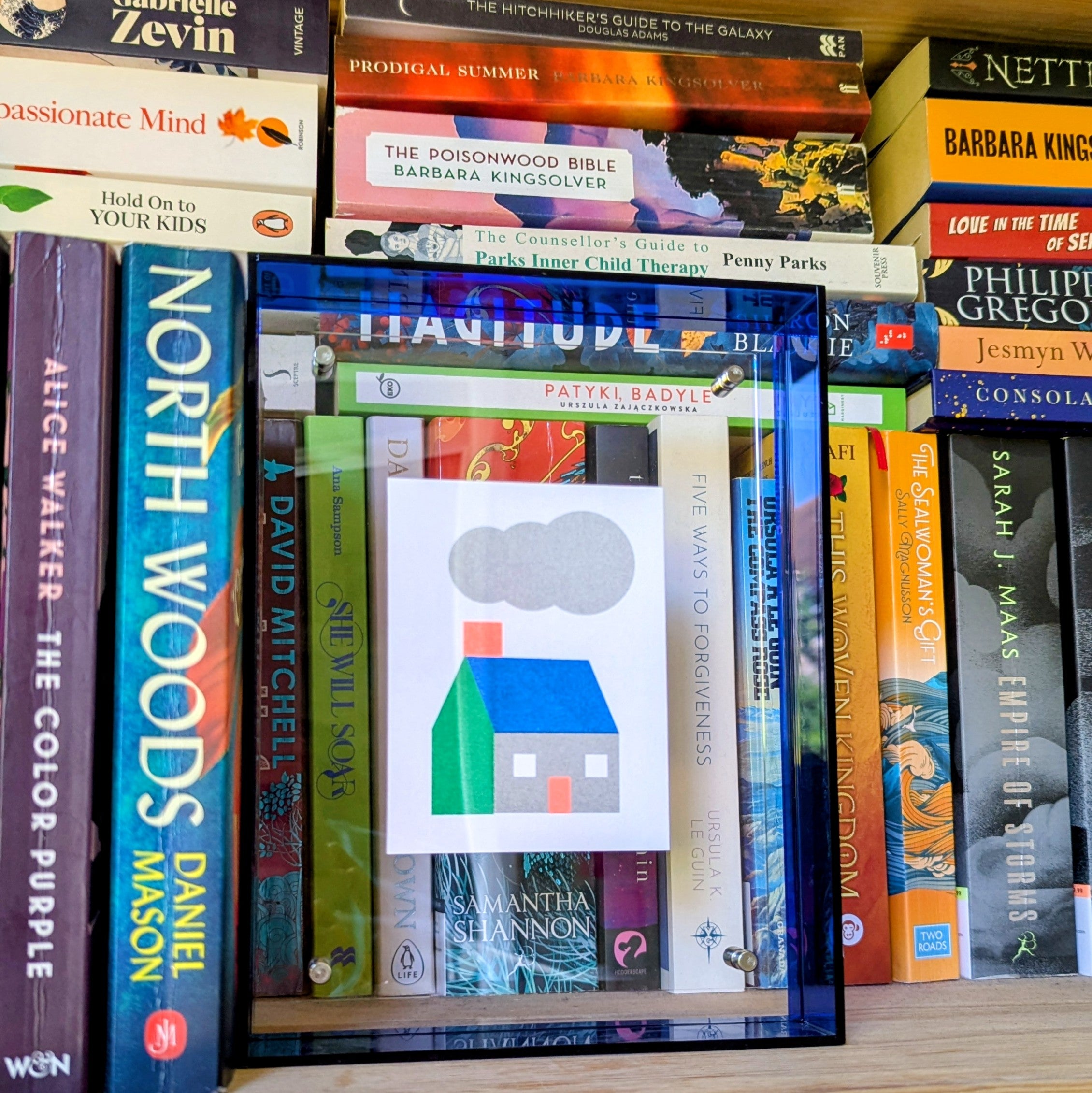 Small Blue Acrylic Frame