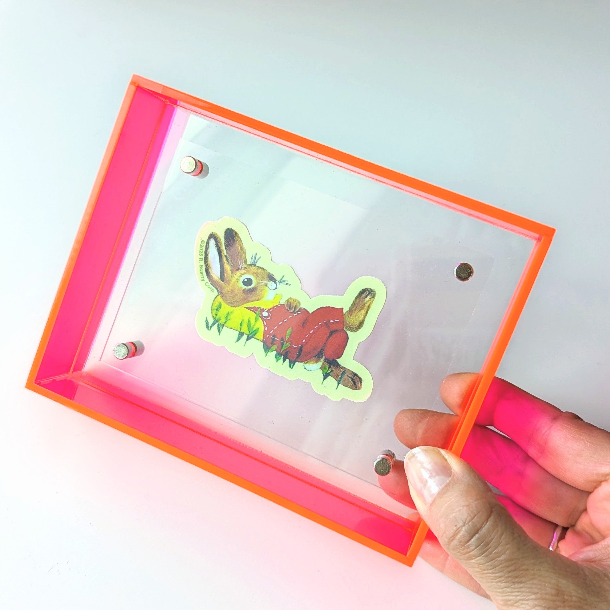 Extra Small Pink Acrylic Frame