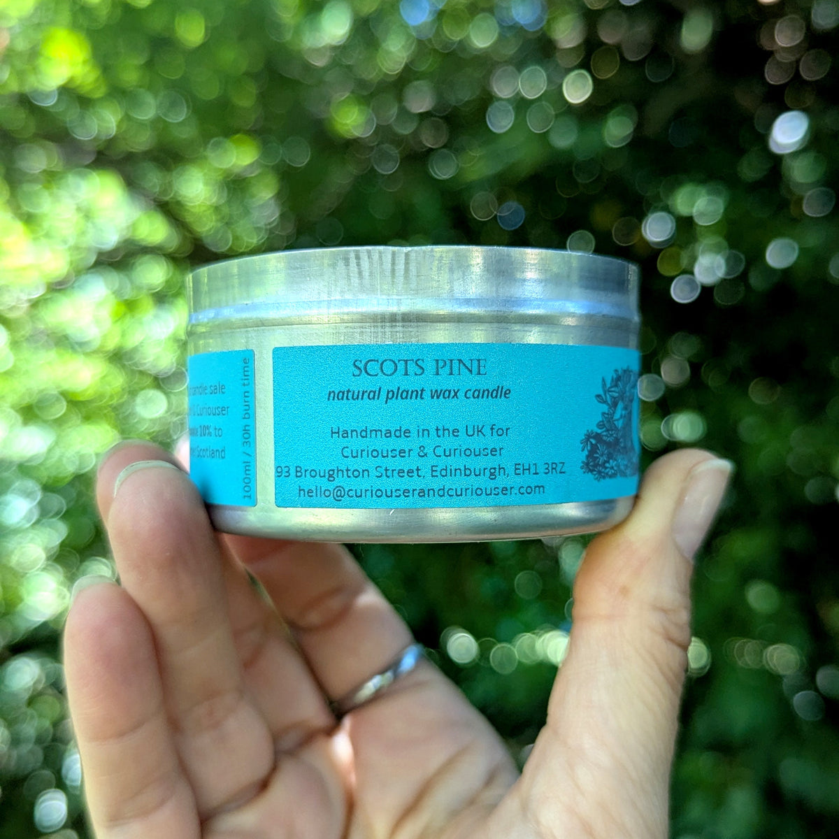 Scots Pine Curiouser Candle