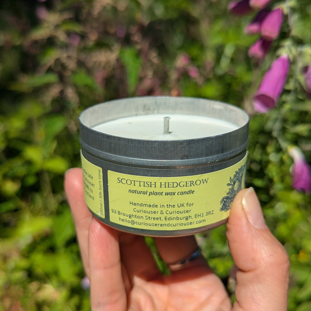 Scottish Hedgerow Curiouser Candle