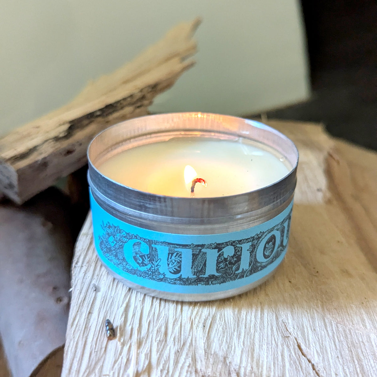 Sea Salt & Spray Curiouser Candle