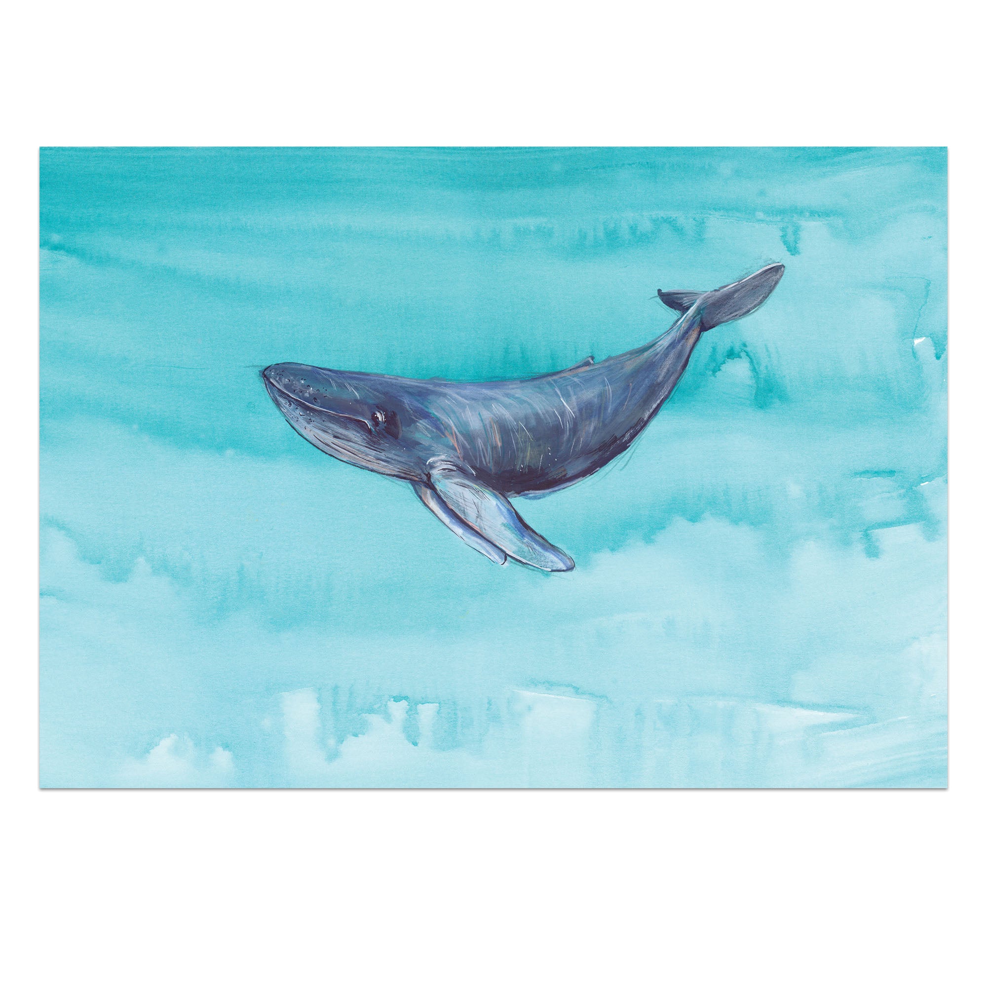 A5 Happy Whale
