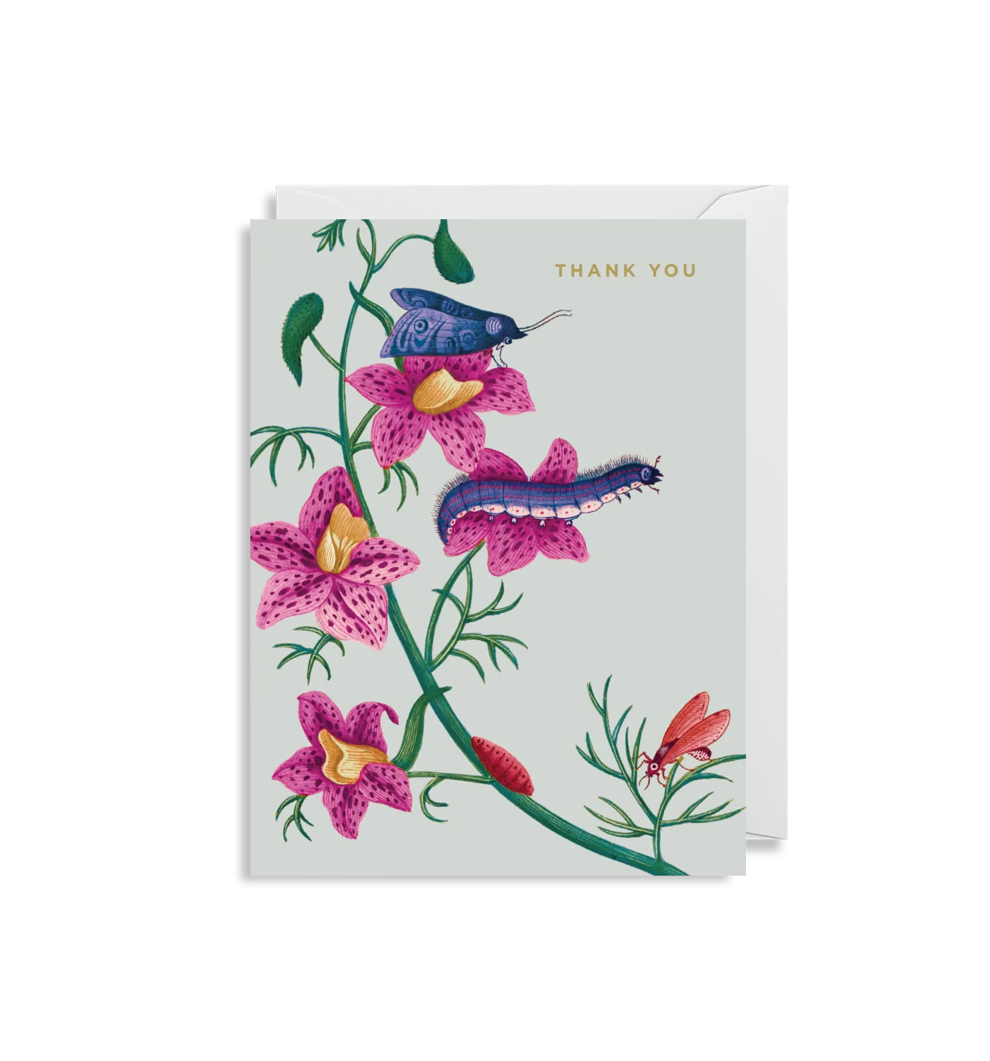 Kew's Thank You Card