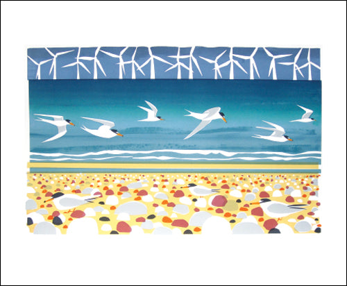 Big Turns & Little Terns Blank Card