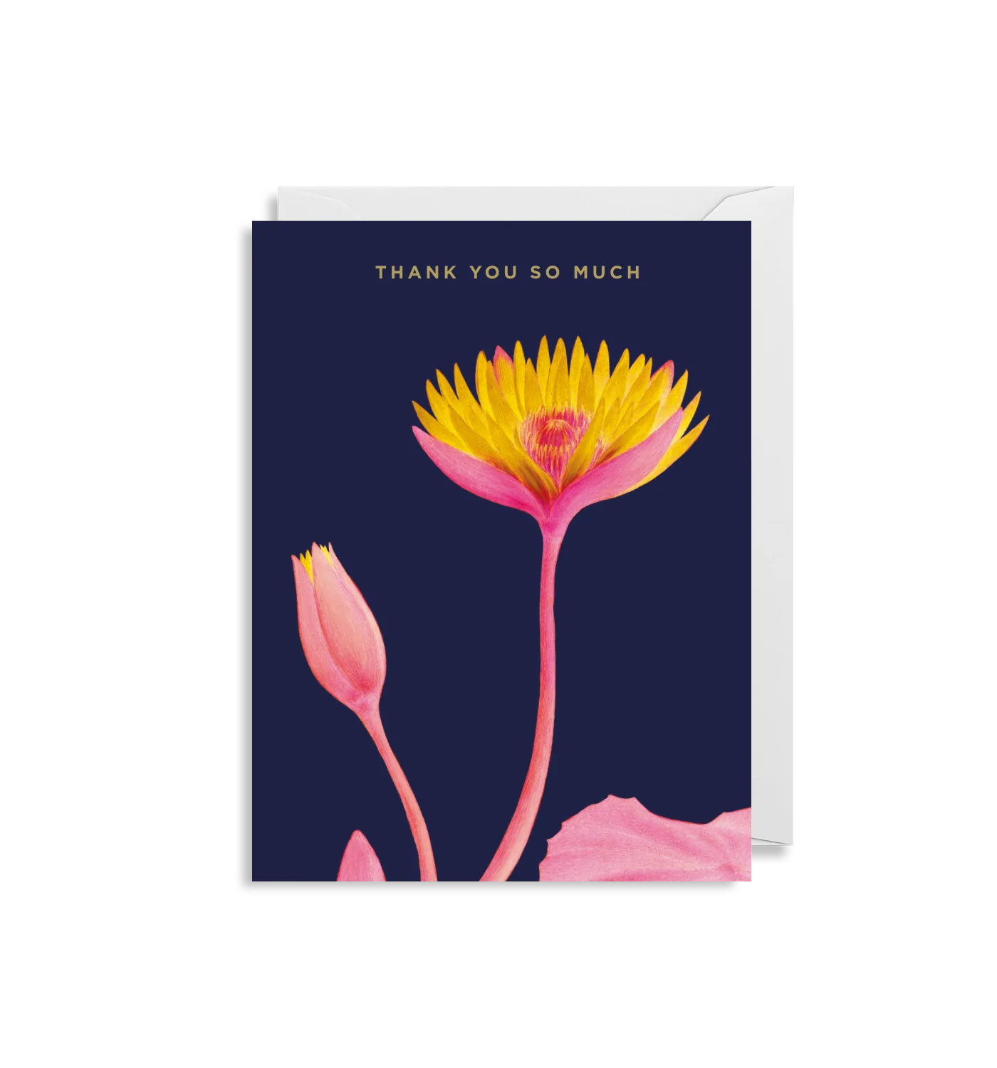 Kew's Thank You So Much Card