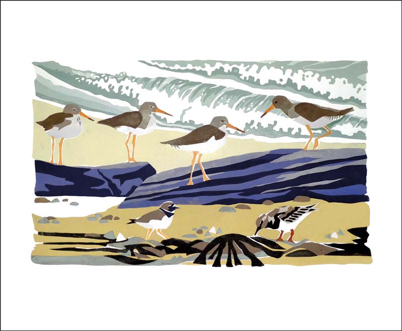 An Orkney Shore Blank Card
