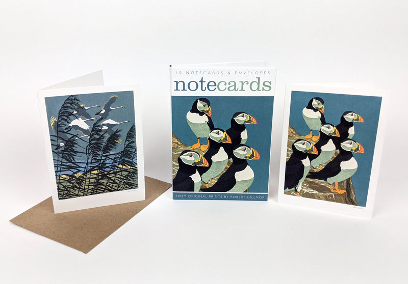 Pack Of 10 Bird Notecards & Envelopes