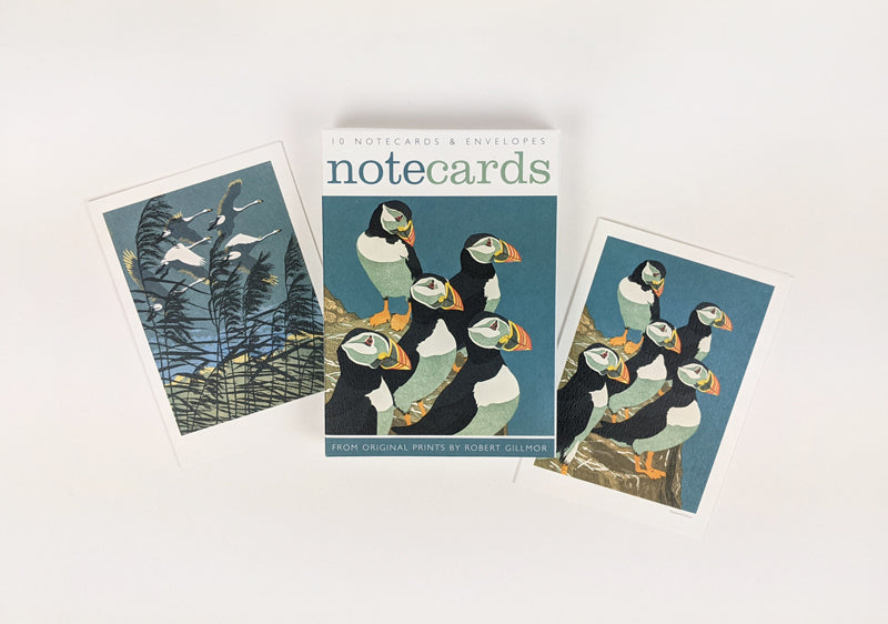 Pack Of 10 Bird Notecards & Envelopes