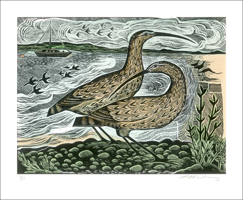 Two Curlews On The Deben Blank Card