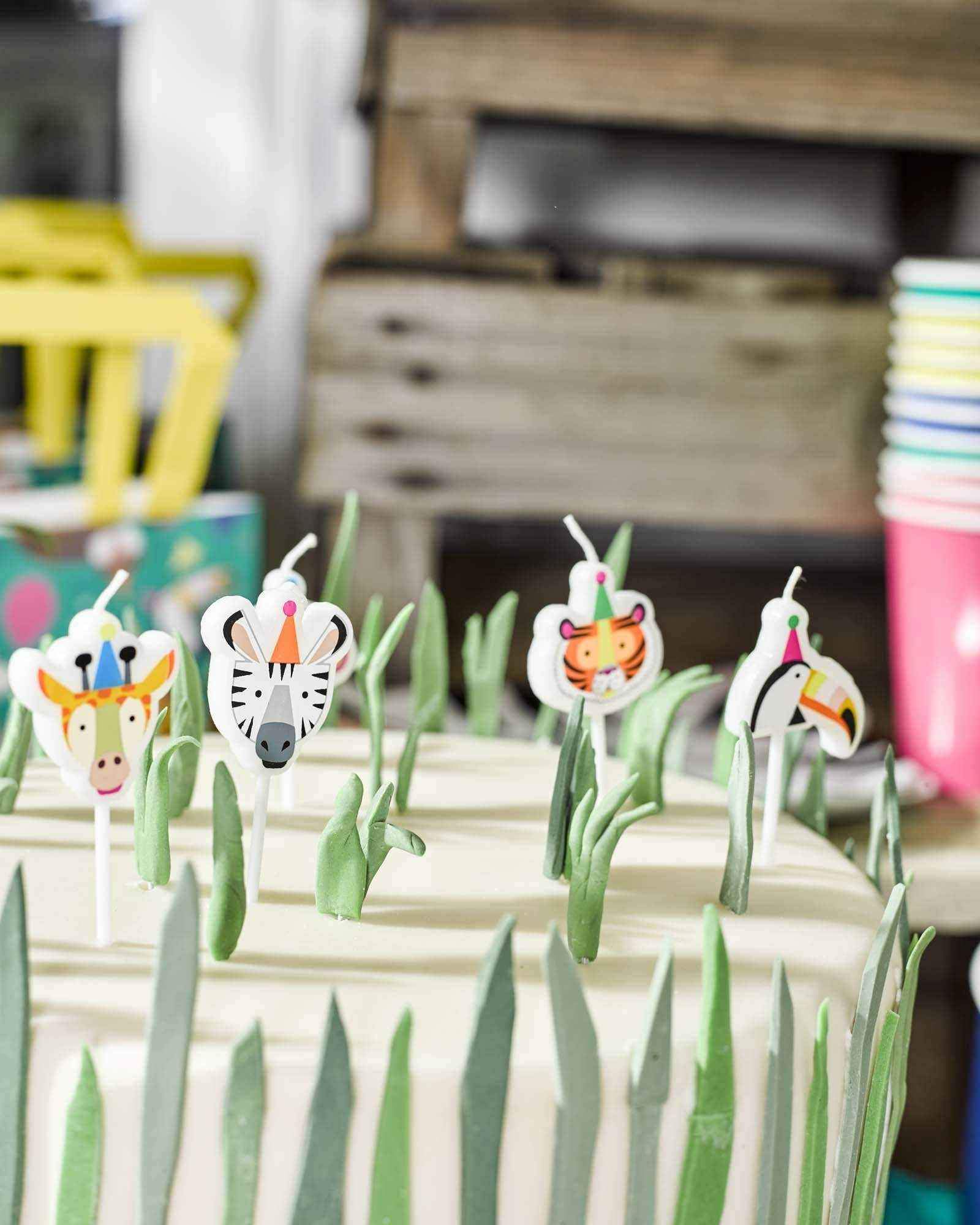 Party Animal Cake Candles