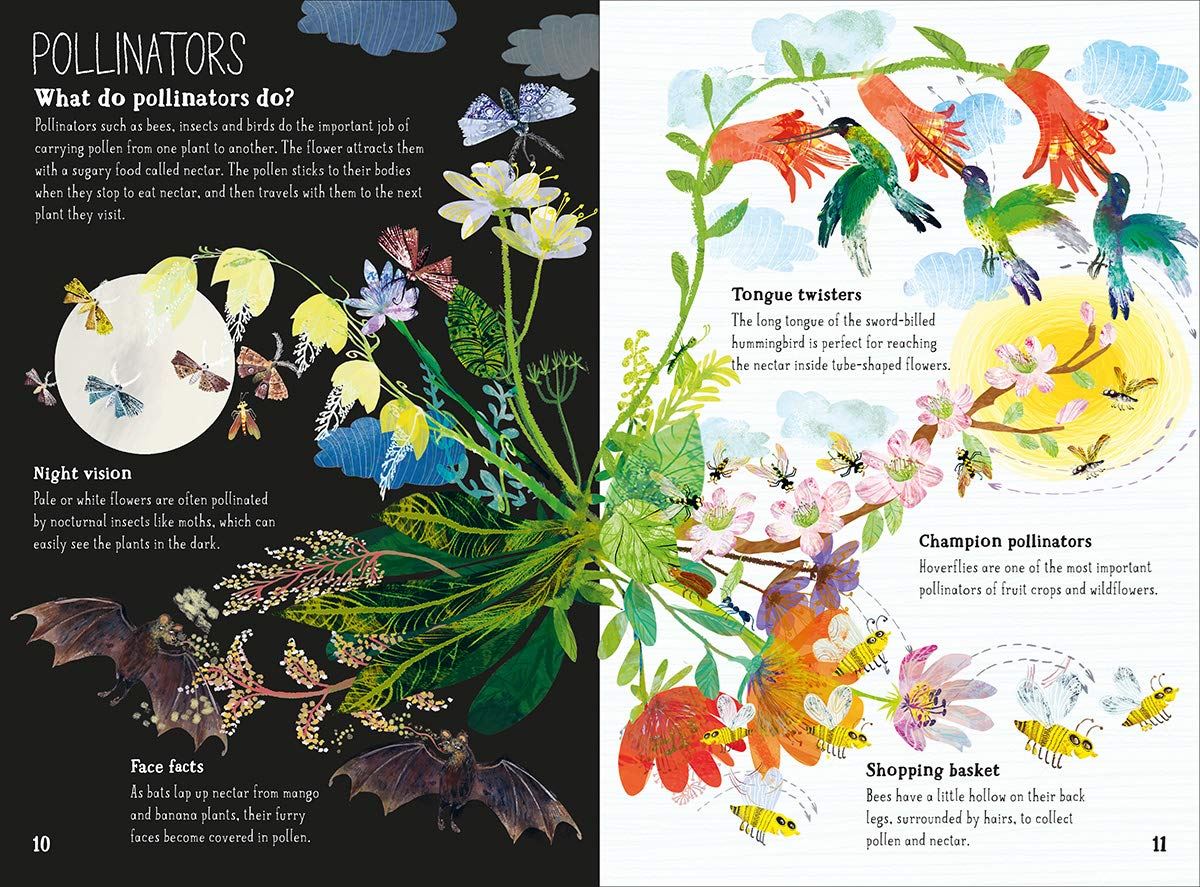 The Big Book Of Blooms